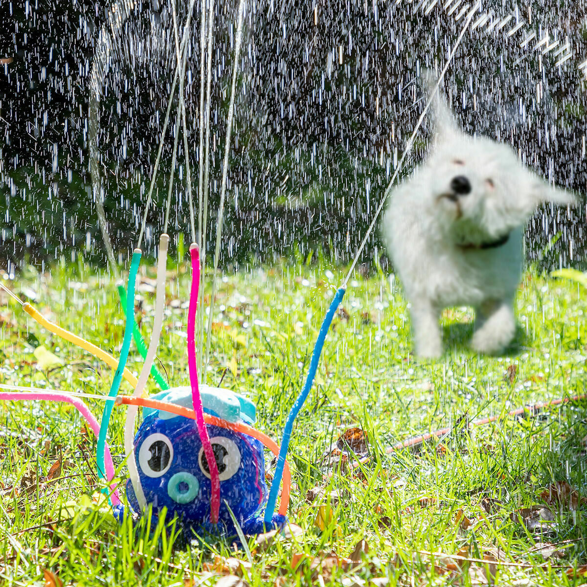 Pack Giant Inflatable Bumper Bubble Ball and Water Sprinkler and