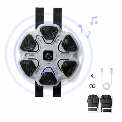 Training & Reflex Balls Set and Rechargeable Musical Boxing Machine