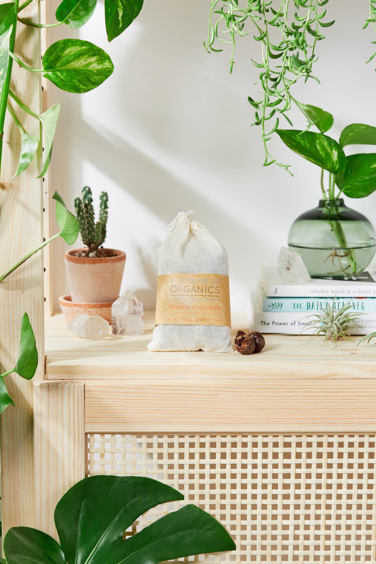 Organic Soap Nuts
